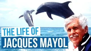 5 Interesting Facts about Jacques Mayol | Pioneer of Freediving