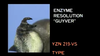 The Guyver Zoanoid Data Files: Enzyme II