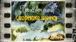 Диафильм (озвученный) "Приключения морского щенка"