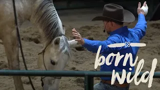 Training A Wild Horse In An Hour - Live Sunday 11am