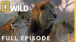 Win or Die (Full Episode) | Savage Kingdom