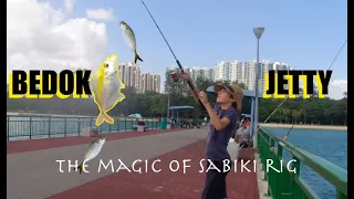 Fishing at Bedok jetty/The magic of sabiki rig S1Ep15