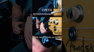Harlequin Forest - Opeth Cover || Slapping Clip