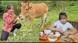 Take the cows to the farm, make corn weed, cook boiled pork leg with dried bamboo shoots for dinner