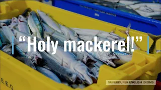 "Holy Mackerel" Idiom Meaning, Origin & History | Superduper English Idioms