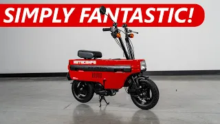 One of my ALL TIME FAVORITE Bikes! Honda Motocompo Ride and Review