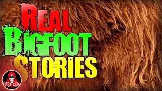 7 REAL Bigfoot Sightings - Darkness Prevails