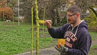 NORSKÉ FONDY - Proměna plochy na ulici Plk. Rajmunda Prchaly