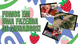 Aventura na Fazenda de Morangos: Colheita Divertida com Hideki e Yoshi!