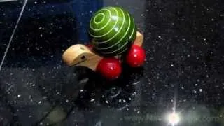 Wooden Turtle Rotate