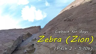 The Wonderful Smith Rock Classic - Zebra (Zion) - (Pitch 2)