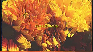 Alpines - Full Bloom (Official Audio)