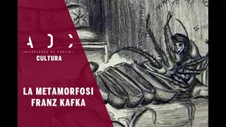 La metamorfosi, Franz Kafka