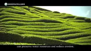 Soil and Water Conservation measures on slope farmland