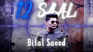 12 SAAL - BILAL SAEED | Slowed Reverb Visualizer | TS_EDITS333 #bilalsaeed #12saal #dhh #12saalsong