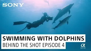 An Innovative Approach to Filming Dolphins: Behind the Shot Episode 4