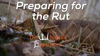 Preparing For the Whitetail Rut