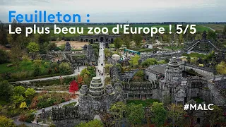 Feuilleton : Le plus beau zoo d'Europe 5/5