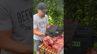 Beef ribs or brisket on a stick