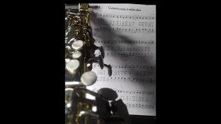 Conserva a paz ó minha alma |sax soprano(Audio)