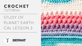 Crochet Along | Study of Planet Earth CAL Lesson #3