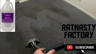 One rat nasty super satisfying carpet cleaning. This poor office so dirty