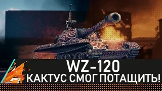 WZ-120 КАКТУС СМОГ ПОТАЩИТЬ!
