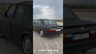 BMW M5 E28 with Supersprint exhaust