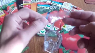 Когда сеять помидоры на рассаду в 2023 году и как посадить помидоры дома