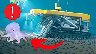 The SHOCKING Truth About Deep Sea Mining