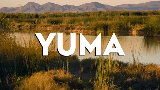Top 10 Best Things to Do in Yuma, Arizona [Yuma Travel Guide 2024]