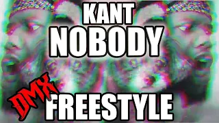 Kant Nobody Lil Wayne & DMX Freestyle - D-sciple