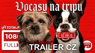 Vocasy na tripu (2023) Voficiální trailer #komedie