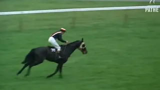 GRAND NATIONAL MEMORIES: 1967 FOINAVON