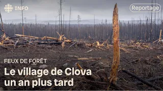 Un an après les feux de forêt, Clova n’abandonne toujours pas