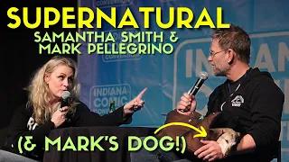 Samanthan Smith & Mark Pellegrino (& his dog) talk "Supernatural" reboot and pranks [Comic Cons]