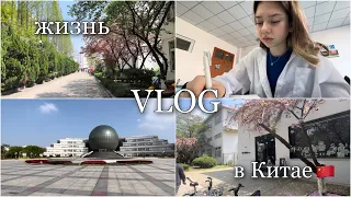 [VLOG]Один день из моей жизни в Китае🇨🇳NUFE📚#китай #жизньвкитае #university #одинденьизмоейжизни