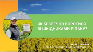 Як безпечно боротися зі шкідниками ріпаку?