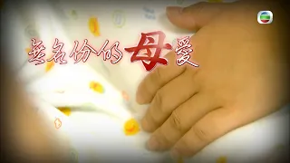 TVB 星期日檔案｜無名份的「母」愛 (繁／簡字幕)｜ 無線新聞 TVB News