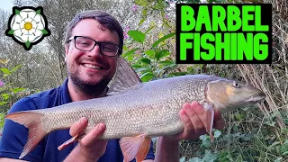 BARBEL FISHING| last of the summer BARBEL on small rivers!