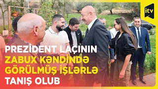 Prezident İlham Əliyev Laçın rayonunun Zabux kəndində görülmüş işlərlə tanış olub