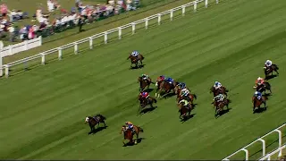 Aussie icon Nature Strip rockets past the field at Ascot!