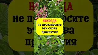 Никогда не произносите эти слова проклятия