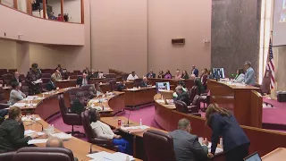 City Council session ends as Lake Shore Drive renamed
