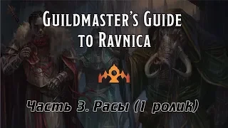 D&D | MTG | Guildmaster's guide to Ravniсa. Часть 3 - Расы (1 ролик)