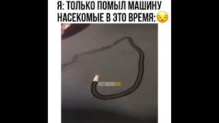 Я только помыл машину 😅😂