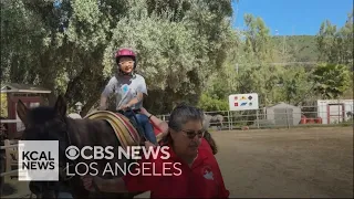 Helping children with disabilities gain independence and strength through equine therapy