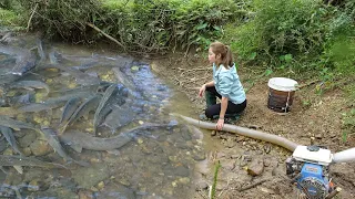 Hunting Wild Fish - Unique Skills Catching fish - Pump Fishing Techniques - Survival Skills