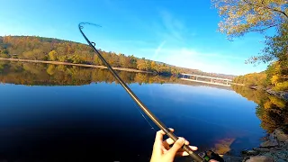 SHOCKING! A HUGE FISH destroyed my reel !? Fishing on the dam.