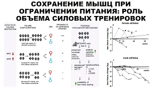 СОХРАНЕНИЕ МЫШЦ ПРИ ОГРАНИЧЕНИИ ПИТАНИЯ: РОЛЬ ОБЪЕМА СИЛОВЫХ ТРЕНИРОВОК